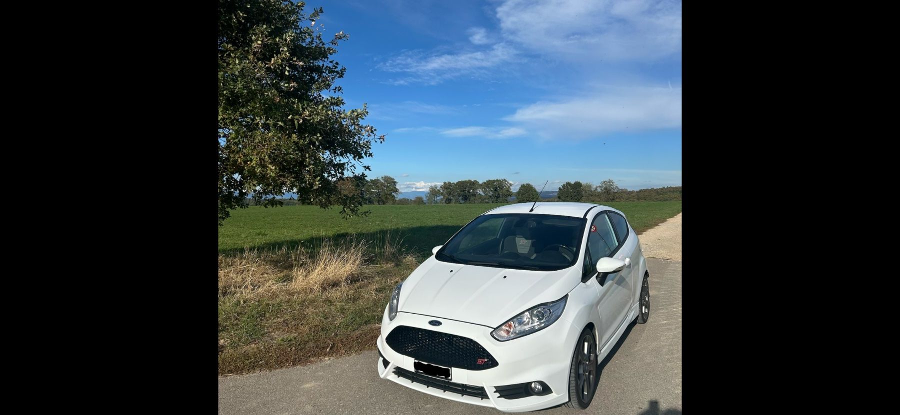 Automobili: Ford Fiesta ST – Usato da Laupen BE venduto da flo_pzm5 6