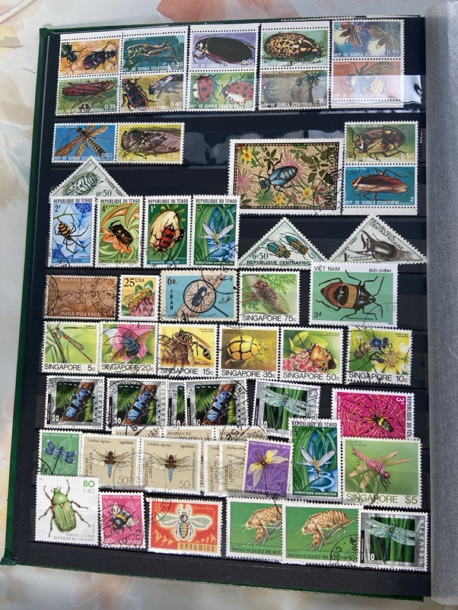 Tutti i francobolli: Stamp collection insects 2 pages – Usato da Collex venduto da RCXGJ