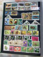 Stamp collection insects 2 pages