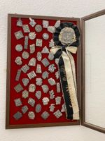 Basel Sammlung Fasnacht-Plaketten-Kollektion / Sammlung