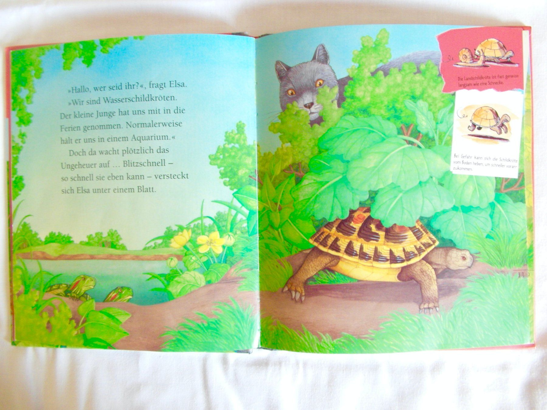 Libri: Kinderbuch: Die Schildkröte - 2002 – Usato da Schönenbuch venduto da Imagine6 2
