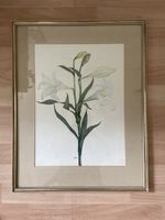 Gezeichnetes Bild in Rahmen mit Blumen Motiv