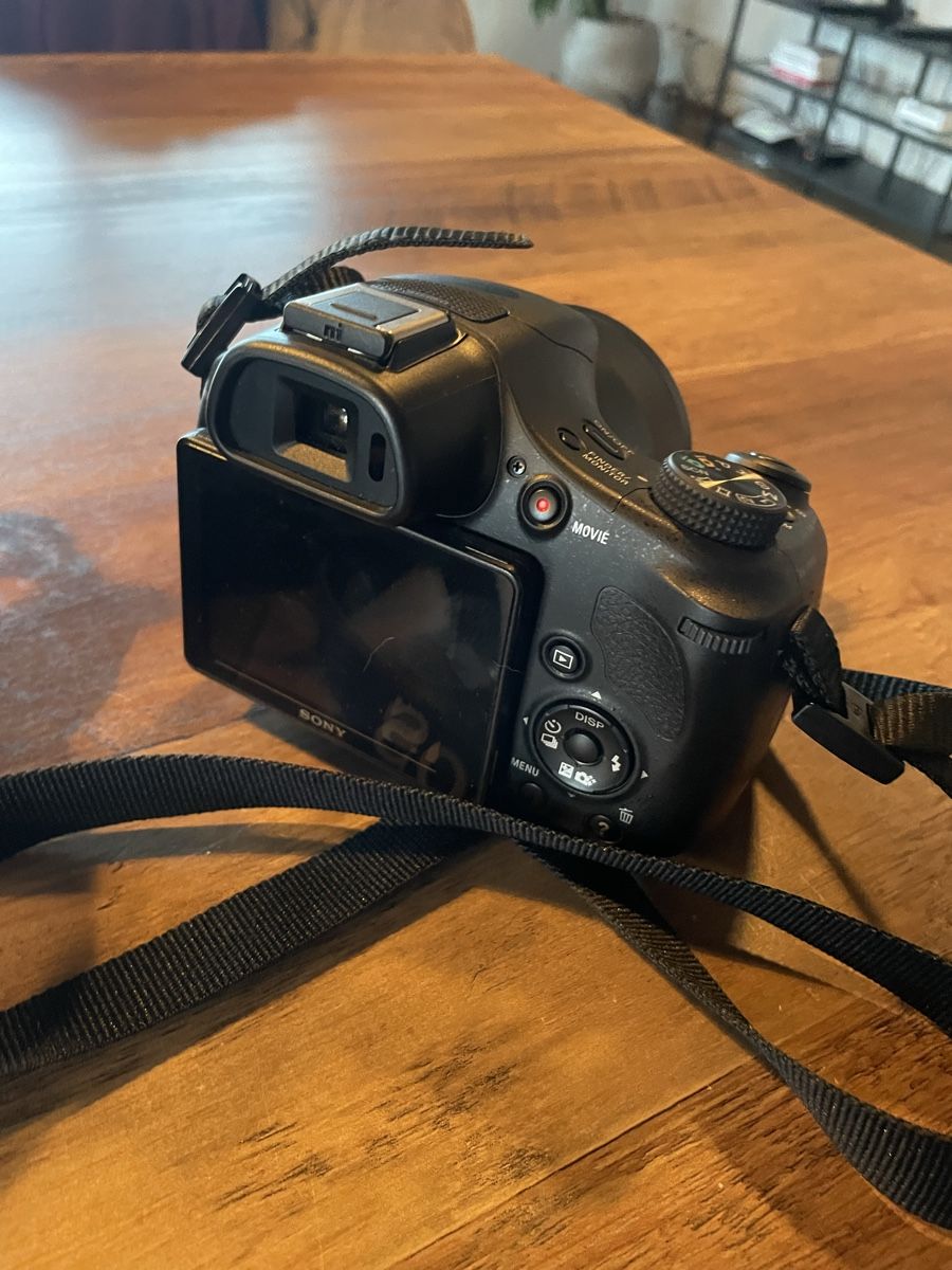 Sony Fotocamera: Sony Kamera – Nuovo (secondo la descrizione) da Gurbrü venduto da ric_sbs6 4