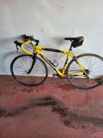 Rennrad Specialized Allez (gelb Rahmenhöhe 52cm)
