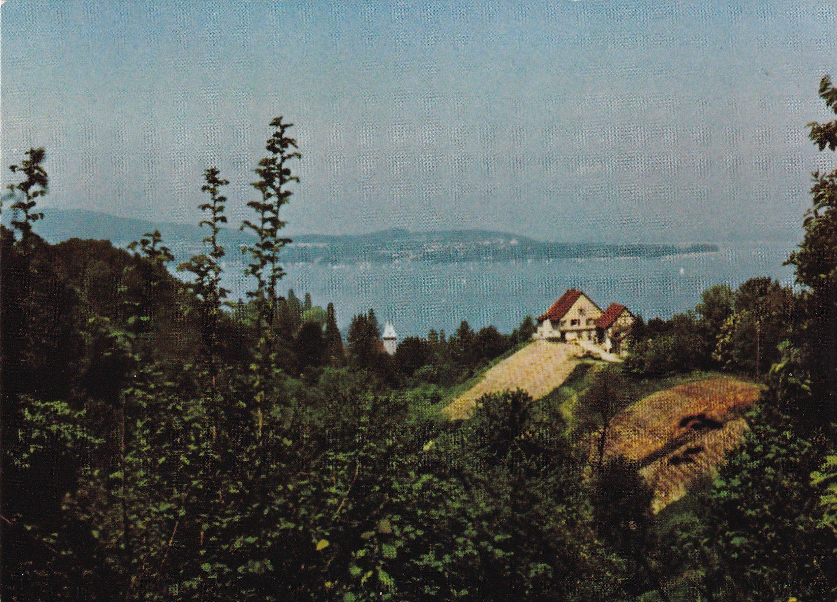 Cartoline postali: Salenstein TG 1985 – Usato da Cormoret venduto da Pascalll2001