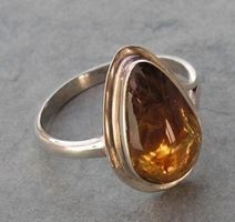♥ EDEL: DOMINIKANISCHER BERNSTEIN RING / GROSSE 53 ♥