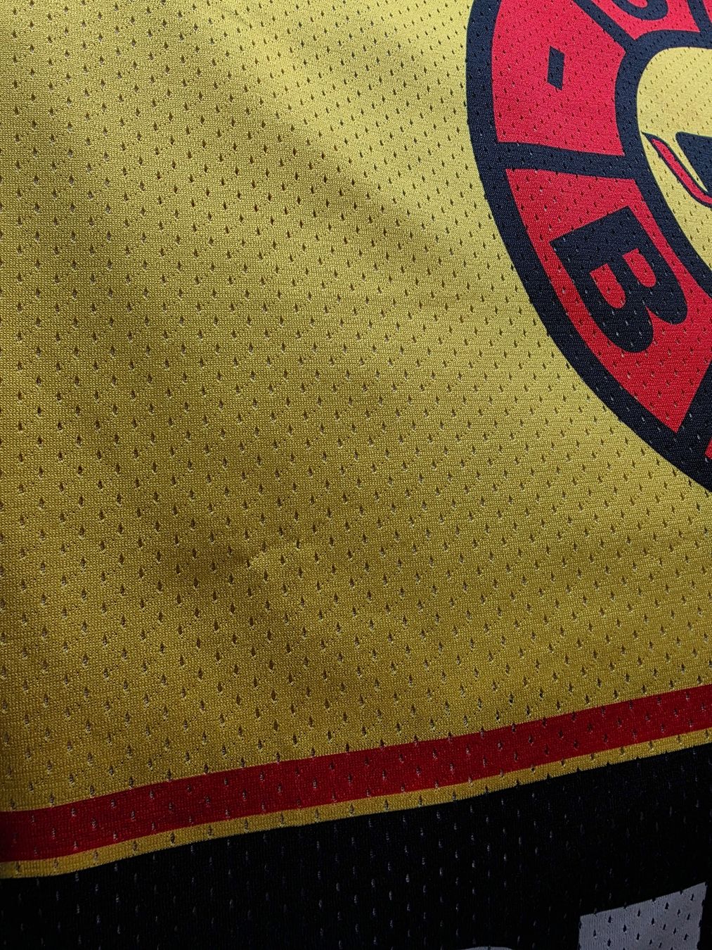 Canottiere & Pantaloni: #25 ZIEGLER SC BERN TRIKOT – Usato da Lüchingen venduto da Jersey_Time 4