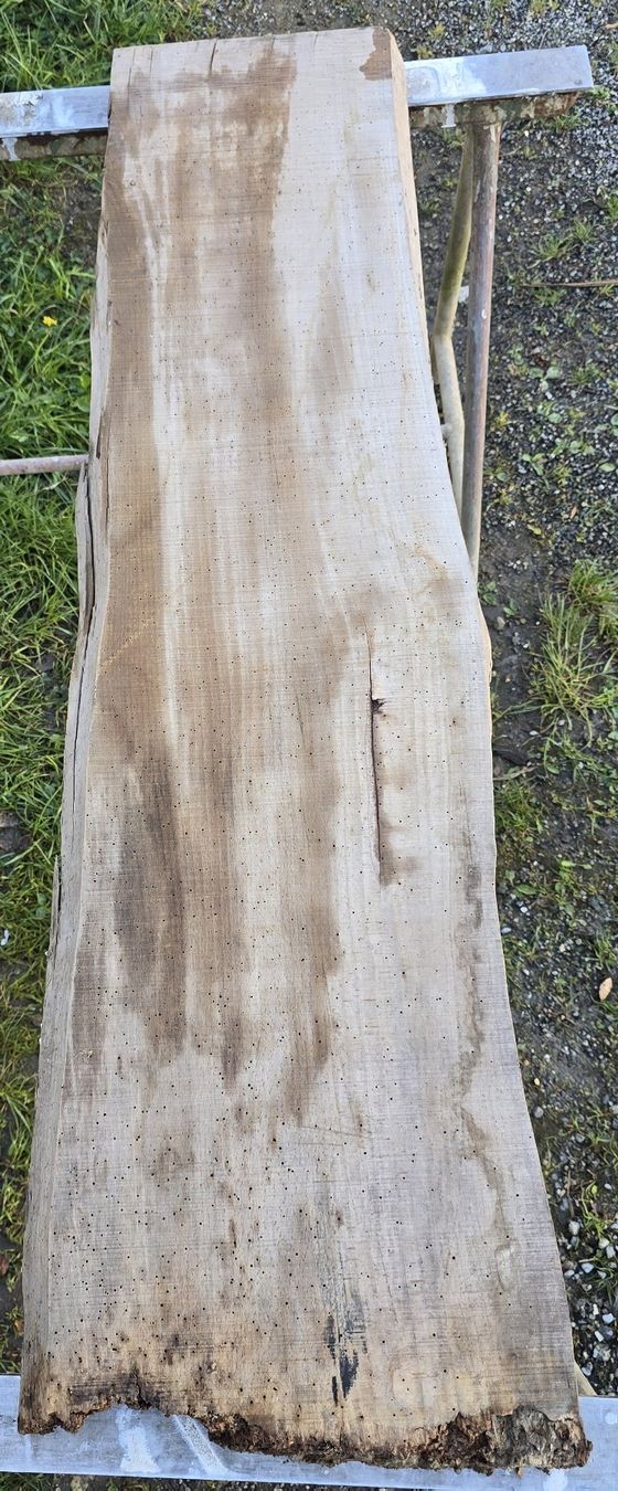 Holzartikel: Altes Holzbrett – Gebraucht aus Rorschacherberg von snOOpydOg11 6
