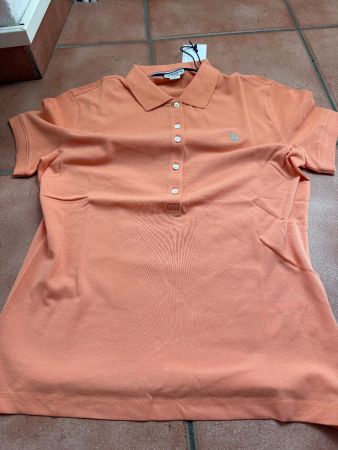 Polo Us Polo nuova