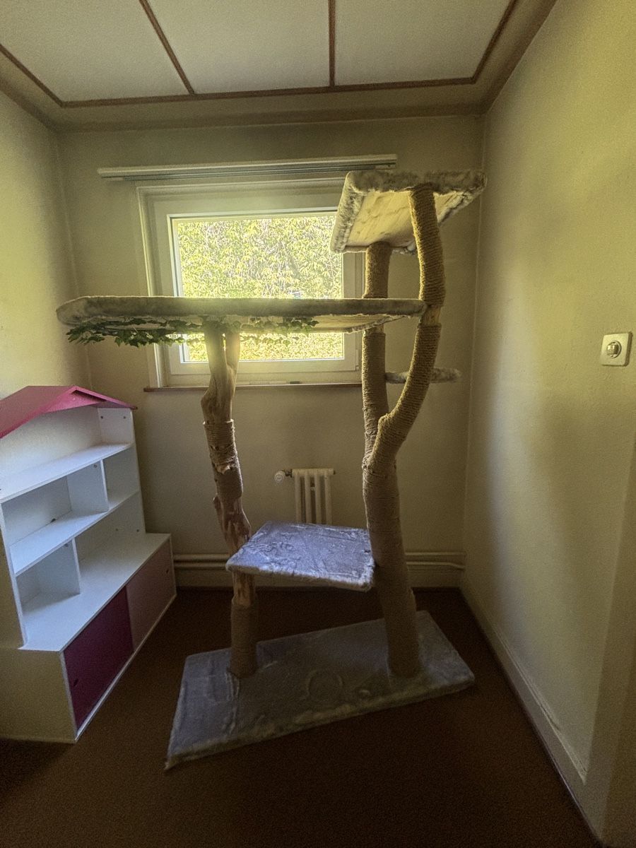 Tiragraffi: Katzenbaum – Usato da Bülach venduto da Zh94 4
