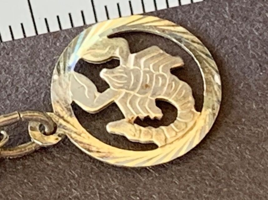 Ciondoli: Anhänger SKORPION + Ankerkette – Usato da Laufen venduto da Bellebellezza