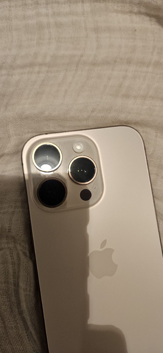 Apple Telefoni cellulari / Smartphones: iPhone 16 Pro 256GB Rose Gold – Usato da Herrliberg venduto da PtS879000 2