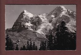 WENGERNALP - Hotel Jungfrau - 1947