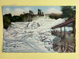 Rheinfall mit Fischetz