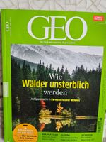 GEO Wie Wälder unsterblich werden