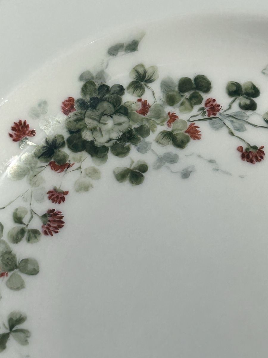 Piatti: Antike Gerichte meissen – Usato da Losone venduto da del_yh97 6