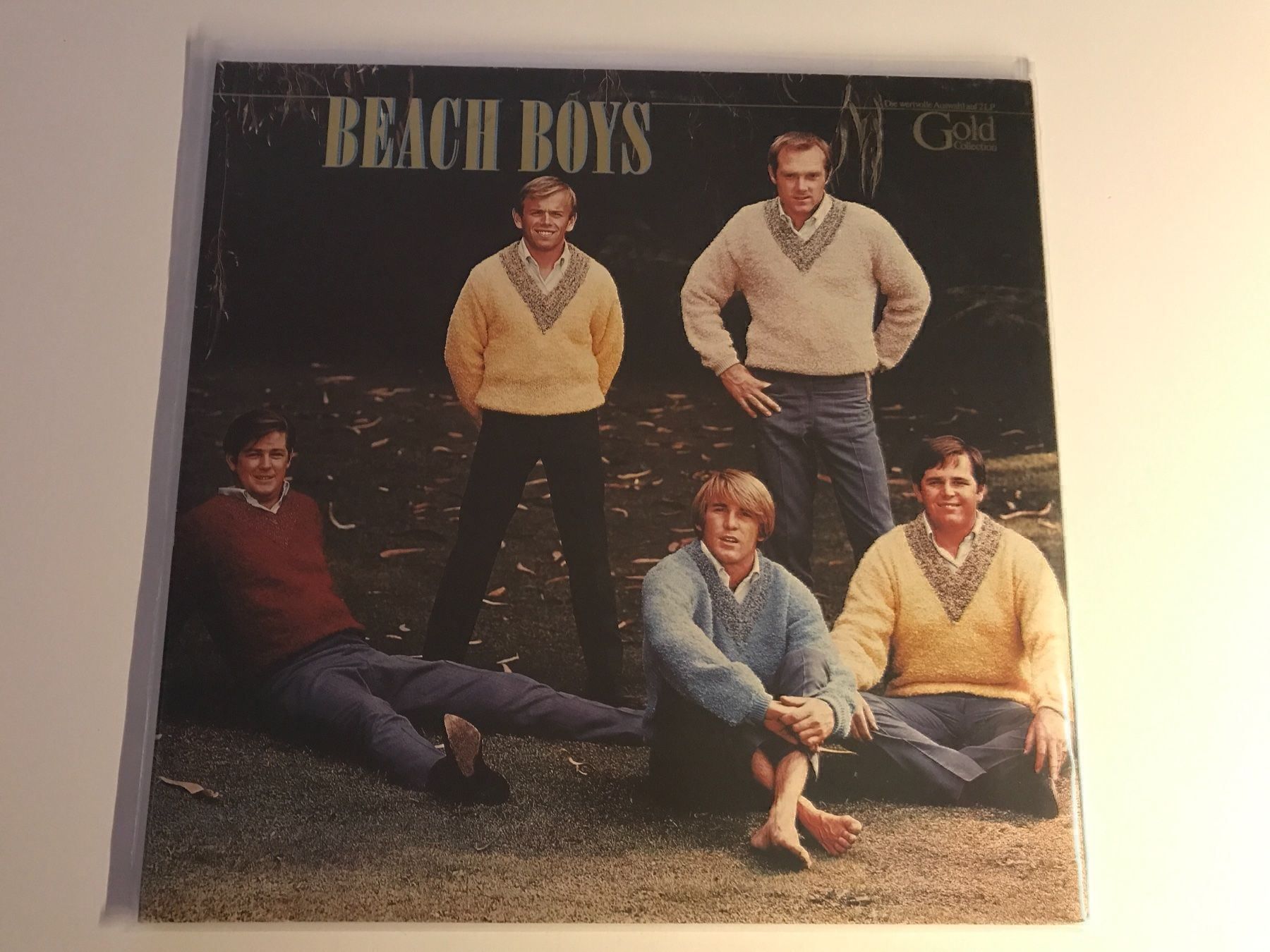 Dischi in vinile: Beach Boys LP – Usato da Gutenswil venduto da Hamzian