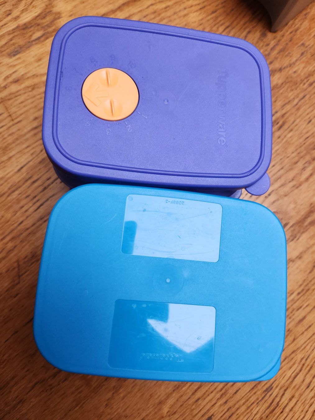 Tupperware Contenitori & Simili: Tupperware 3 Behälter flach,  + einmal 7.5cm höhe – Usato da Gstaad venduto da Kuhstall-2026 2