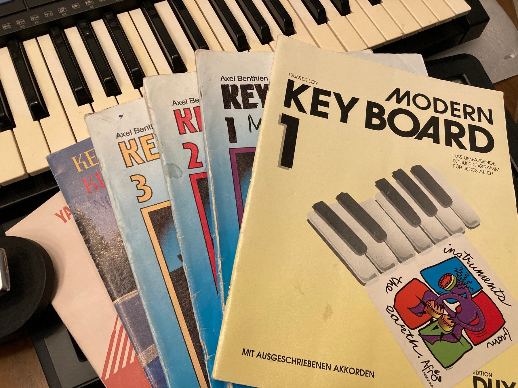 Yamaha Strumenti musicali: Keyboard Yamaha PSR-310 – Usato da Horgen venduto da Goros 3