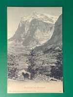 Grindelwald mit Wetterhorn