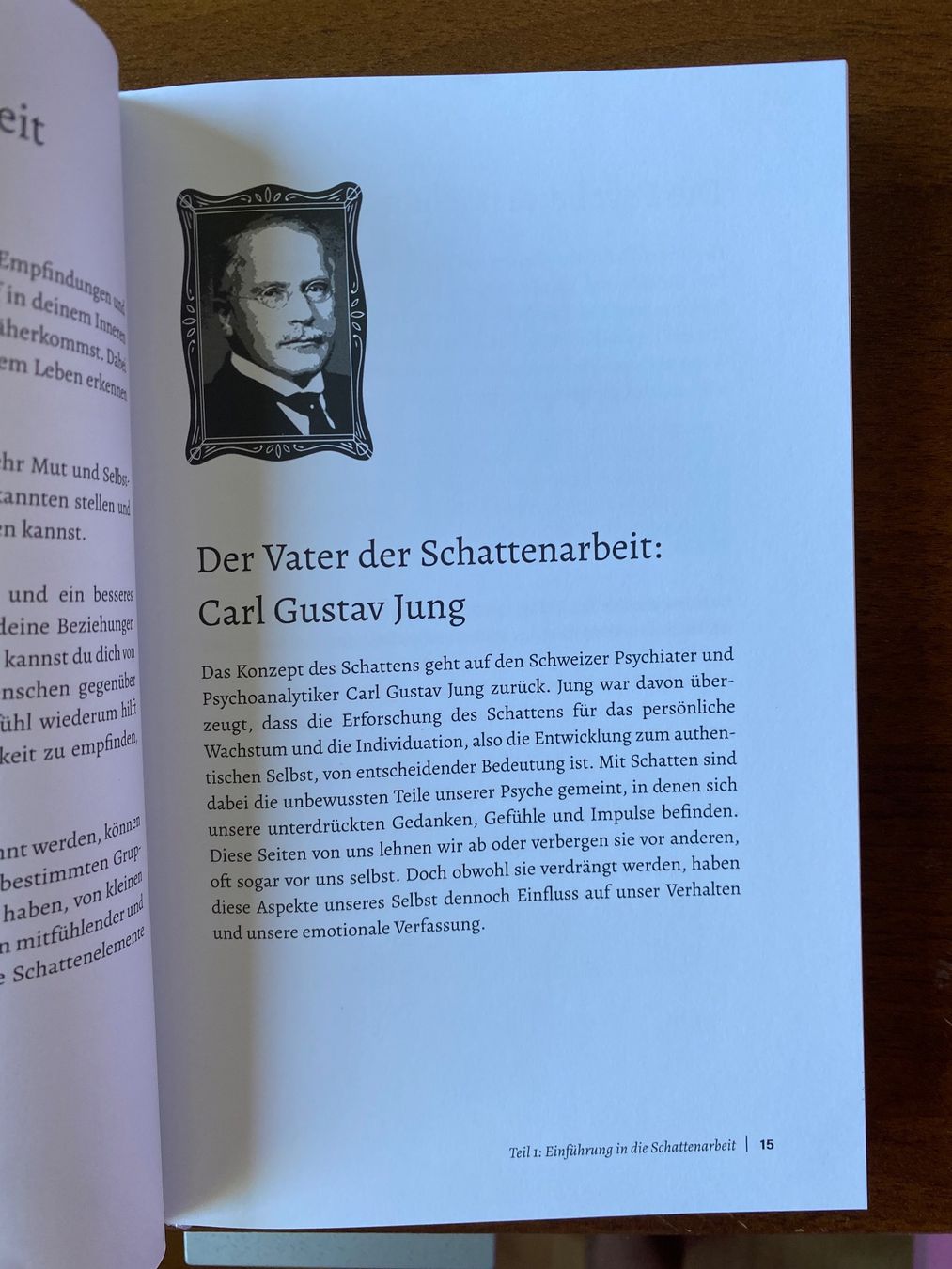Livres: Das Shadow Work Journal – Neuf (Voir description) à Vernate par RubyDays 2
