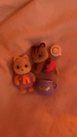 Sylvanian Families Figuren🐻