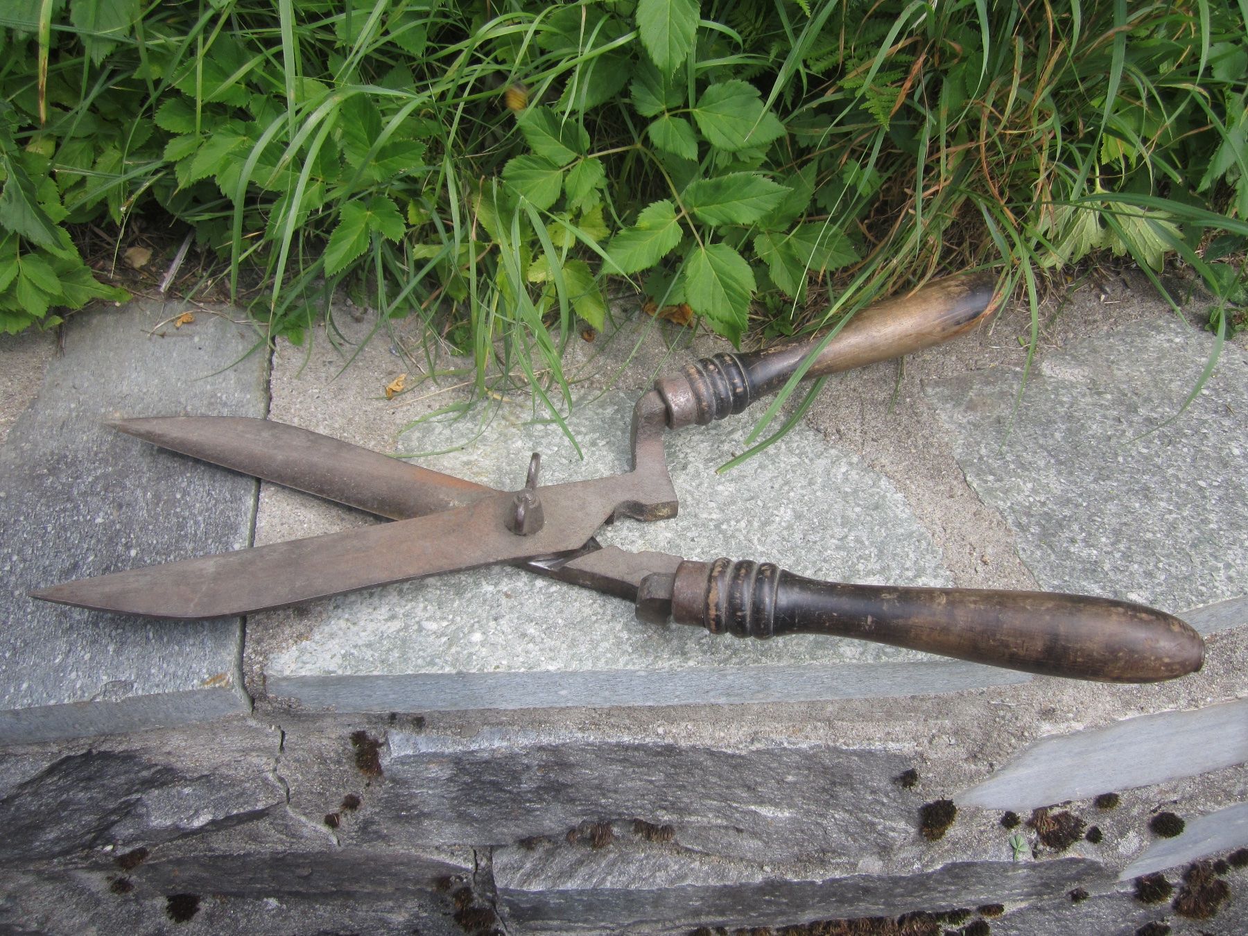 Tutti gli attrezzi: Antike Gartenschere mit Holzgriff – Usato da Innerferrera venduto da ani_c5r6 1