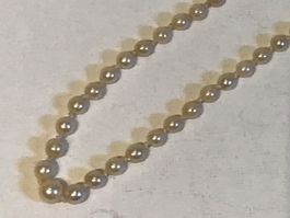 Antike Perlenkette mit Goldverschluss
