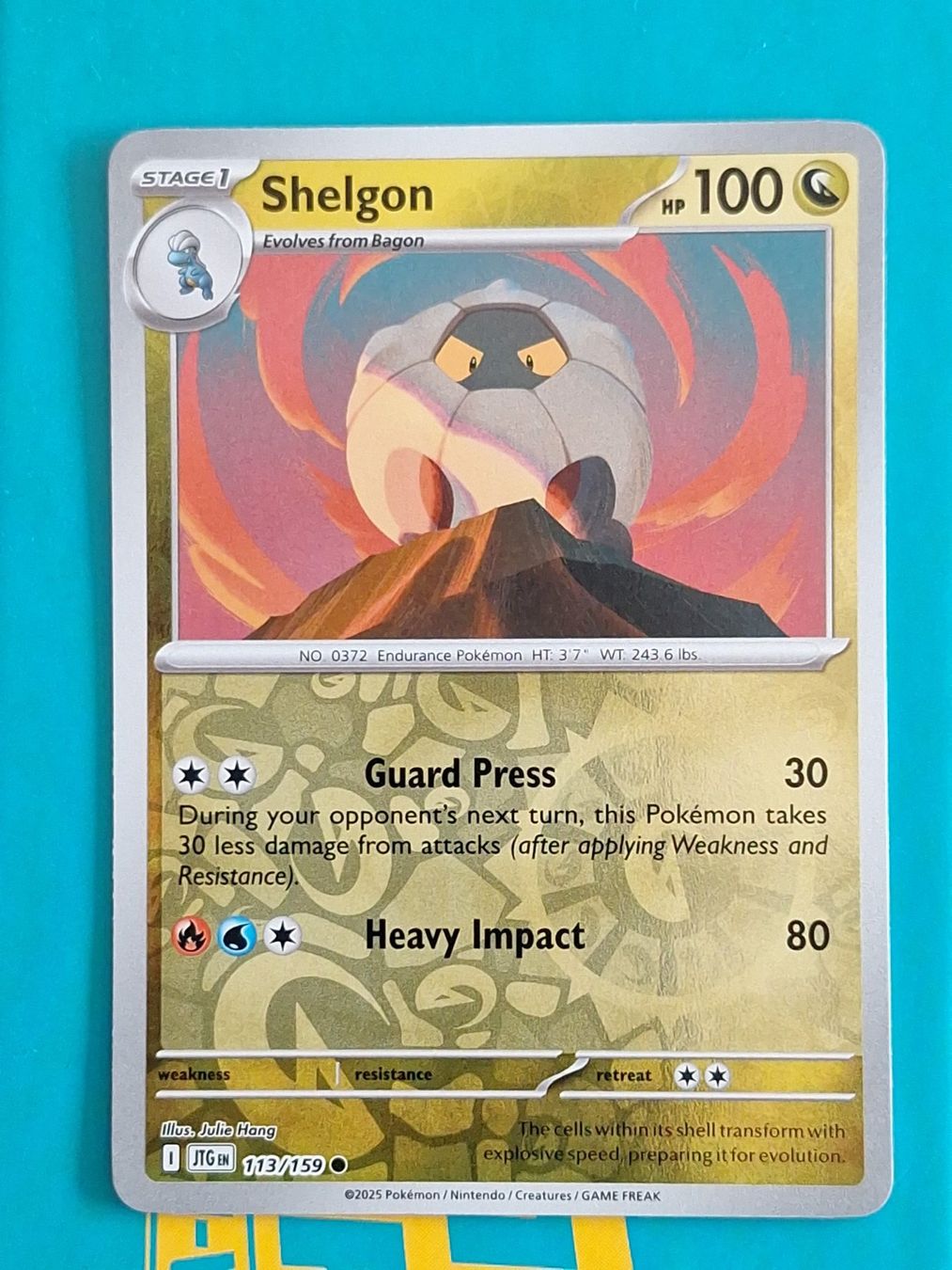 Pokémon Carte collezionabili: Shelgon - Reverse Holo Pokemon Journey Together #1.7 – Usato da Altstätten SG venduto da GGsGameshop