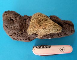 Olivin im Lava-Muttergestein, 293Gramm