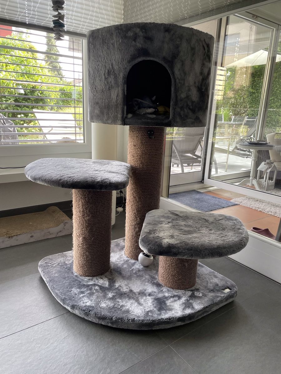 Arbres à chats: Katzenbaum – D'occasion à Möhlin par knif61 1