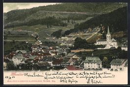 Moutier, Totalansicht mit Umgebung aus d