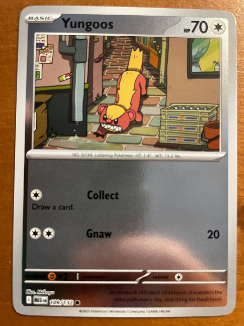 Pokémon Carte collezionabili: Pokemon Yungoos Reverse (Versand gratis) – Nuovo (secondo la descrizione) da Chur venduto da Angerson