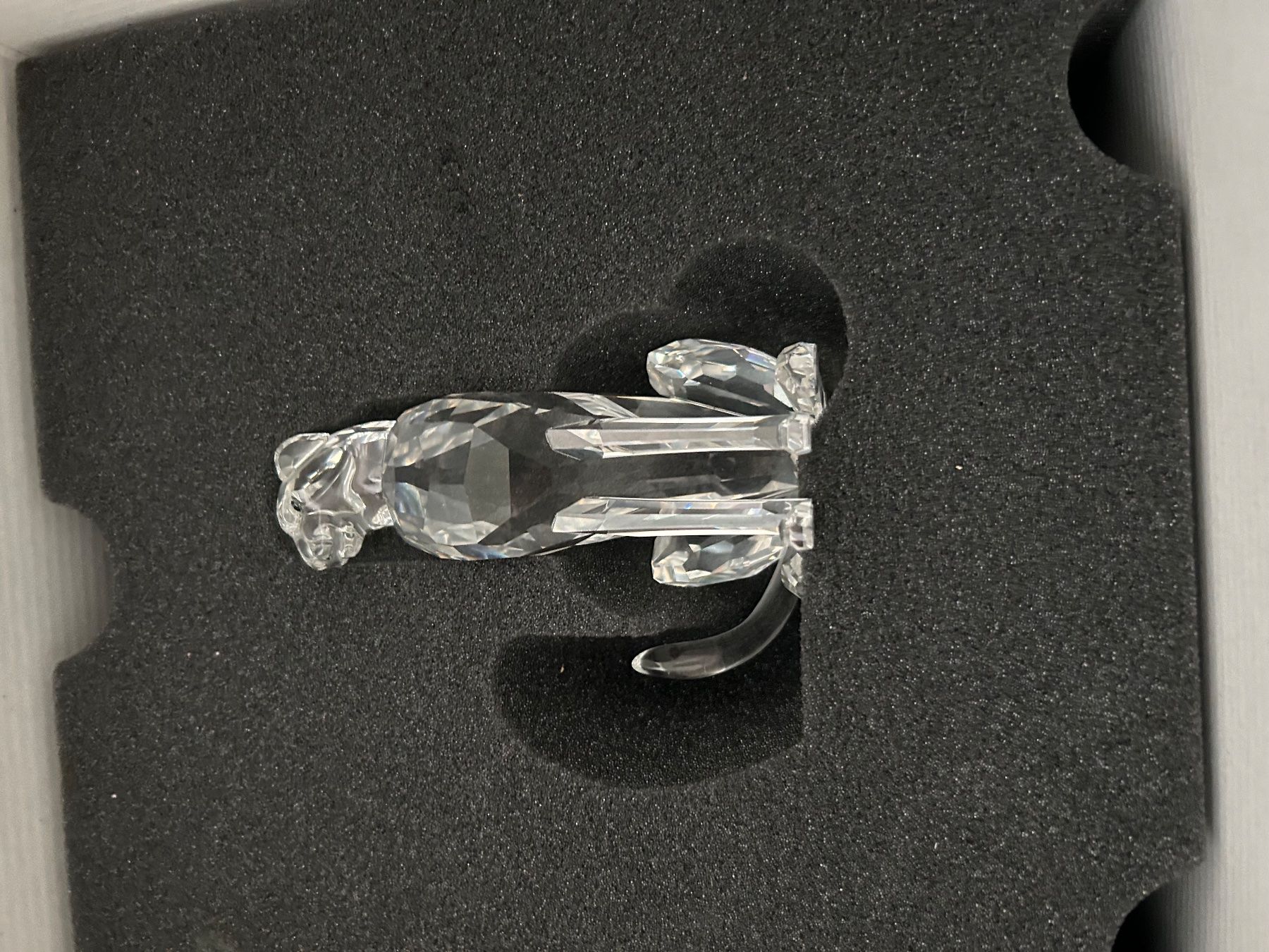 Swarovski Statuette: SWAROVSKI  Sammlung Auflösung  GEPARD – Nuovo (secondo la descrizione) da Olten venduto da Pablo7