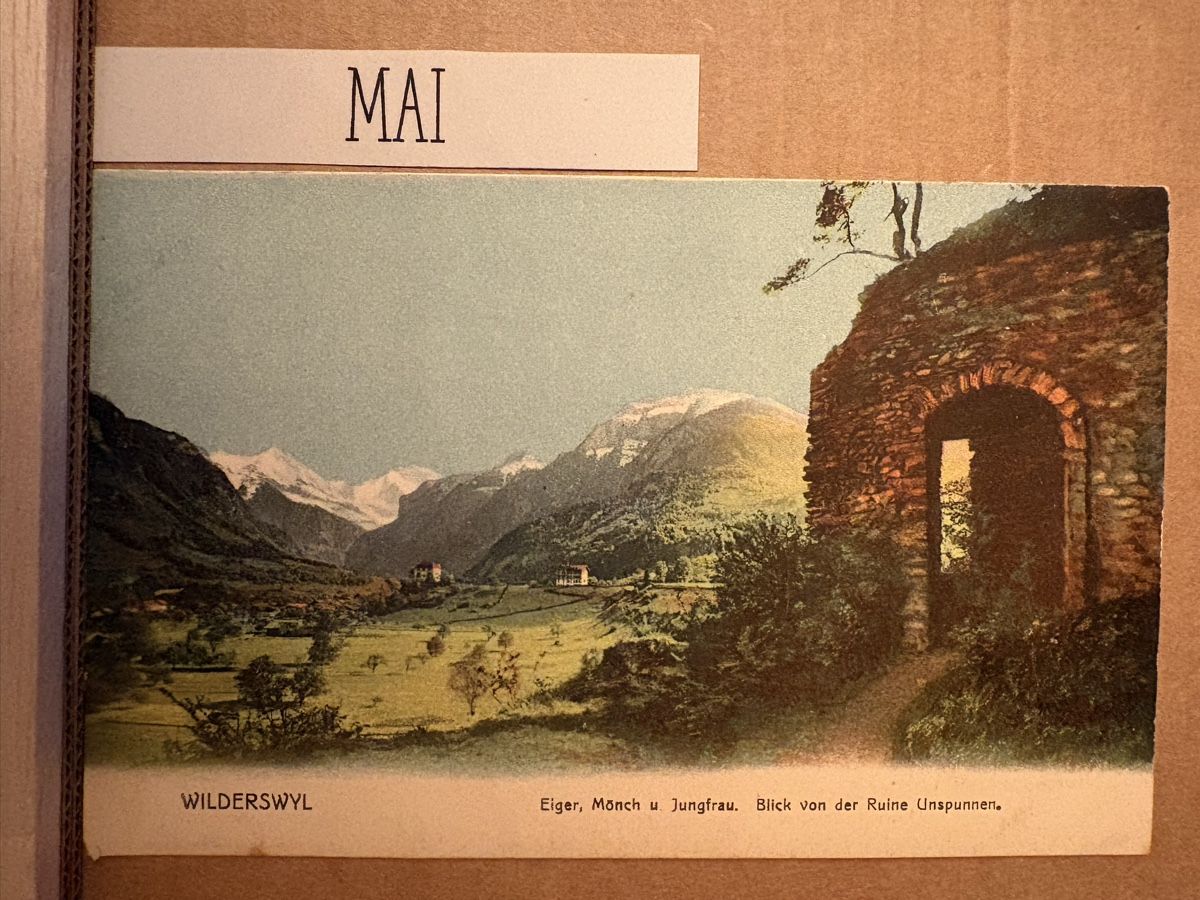 Cartoline postali: AK von Wilderswyl / Eiger Mönch Jungfrau – Usato da Rümlang venduto da Kartenpost1