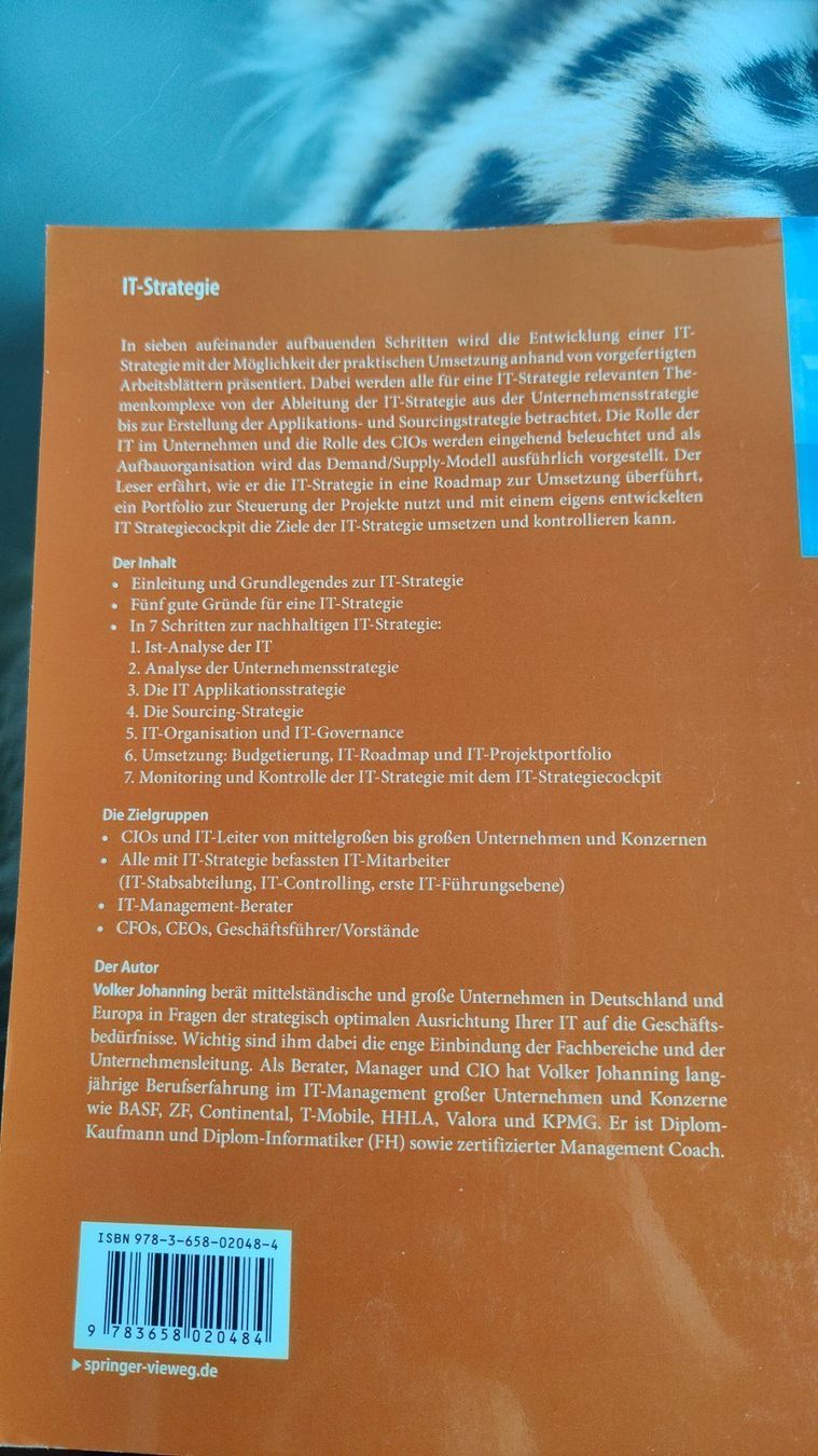 Libri: IT-Strategie Buch – Nuovo (secondo la descrizione) da Ettingen venduto da schnaegli1987 1