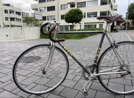 RIH Profi Rennrad – Alurahmen – Campagnolo – RH 54 