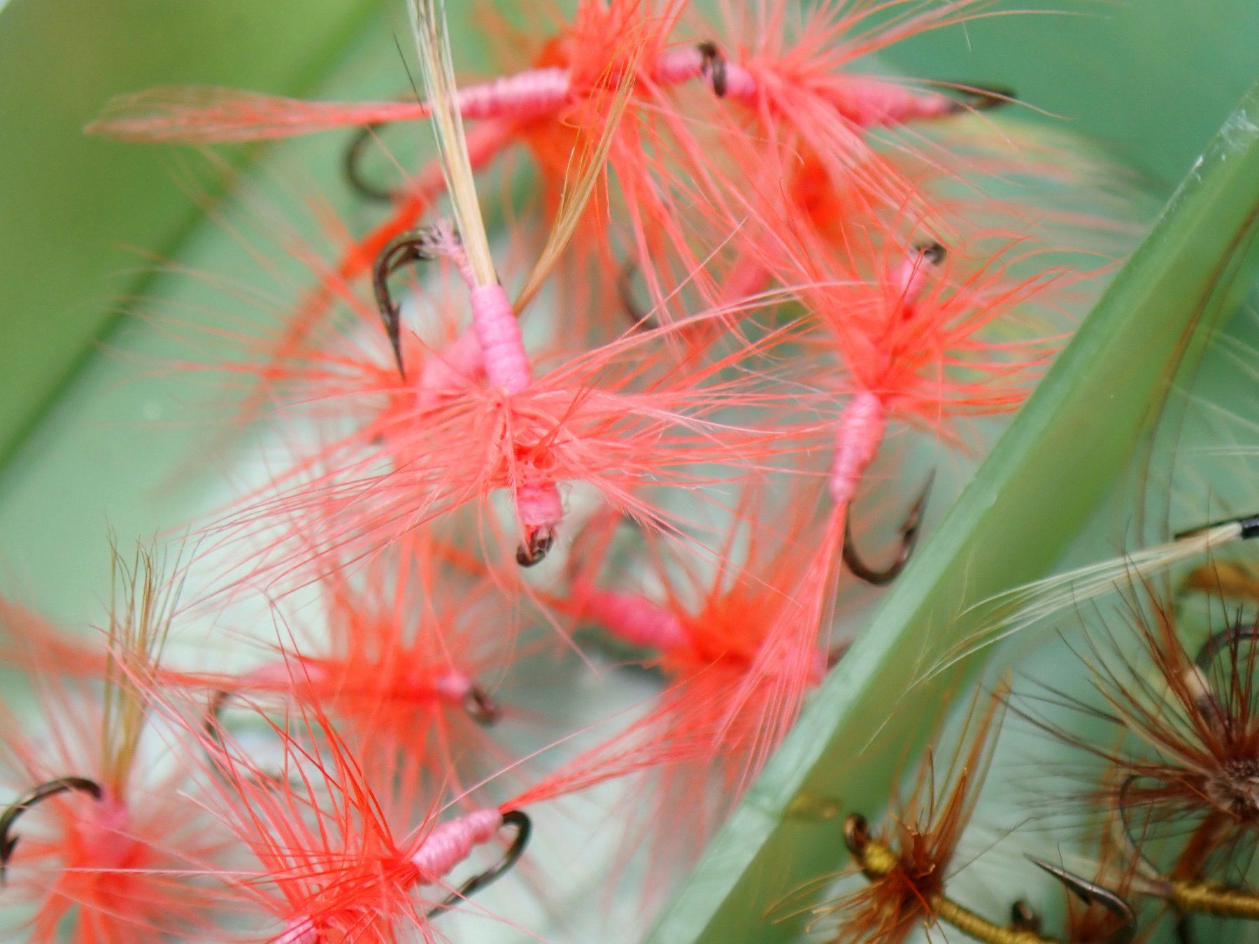 Köder: Fliegen, Fliegenfischen 100 Stück - Total Fr. 40.- – Neu (gemäss Beschreibung) aus Nassenwil von Fwalti01 8