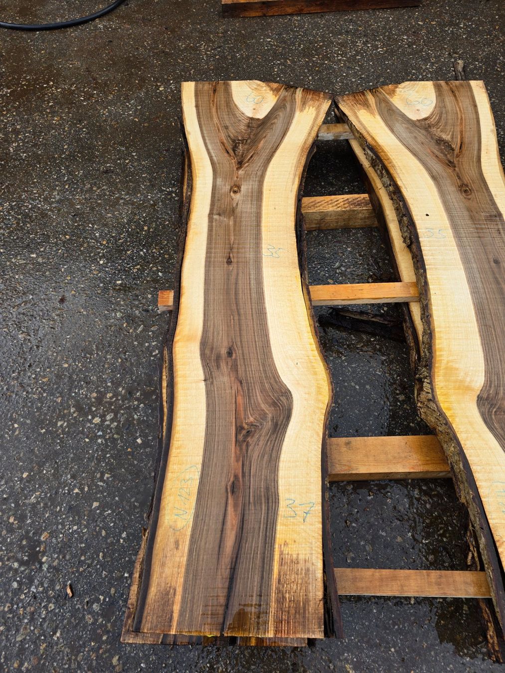 Articoli in legno: Nussbaumbrett Nr. N123 – Nuovo (secondo la descrizione) da Ramsei venduto da Waelchris