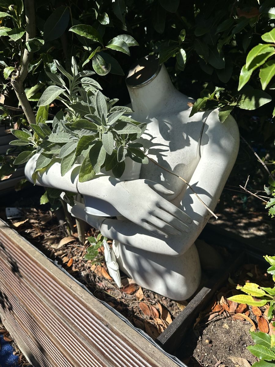 Altro in Decorazioni & Accessori: Schaufensterpuppe Gartenfigur – Usato da Muttenz venduto da anna123 1