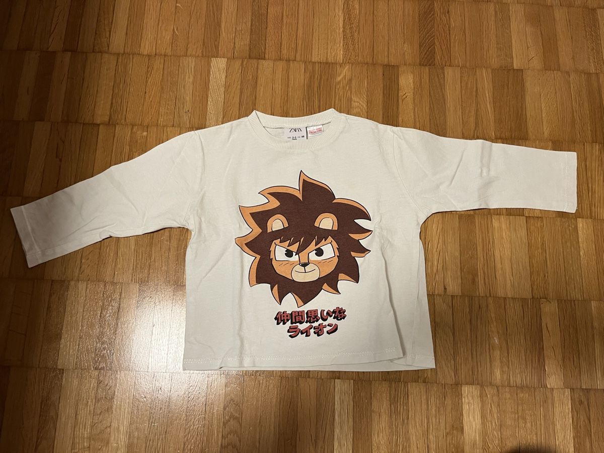 Zara Maglioni & Felpe: Zara Babypulli Gr. 98 – Usato da Jona venduto da Good_luck_