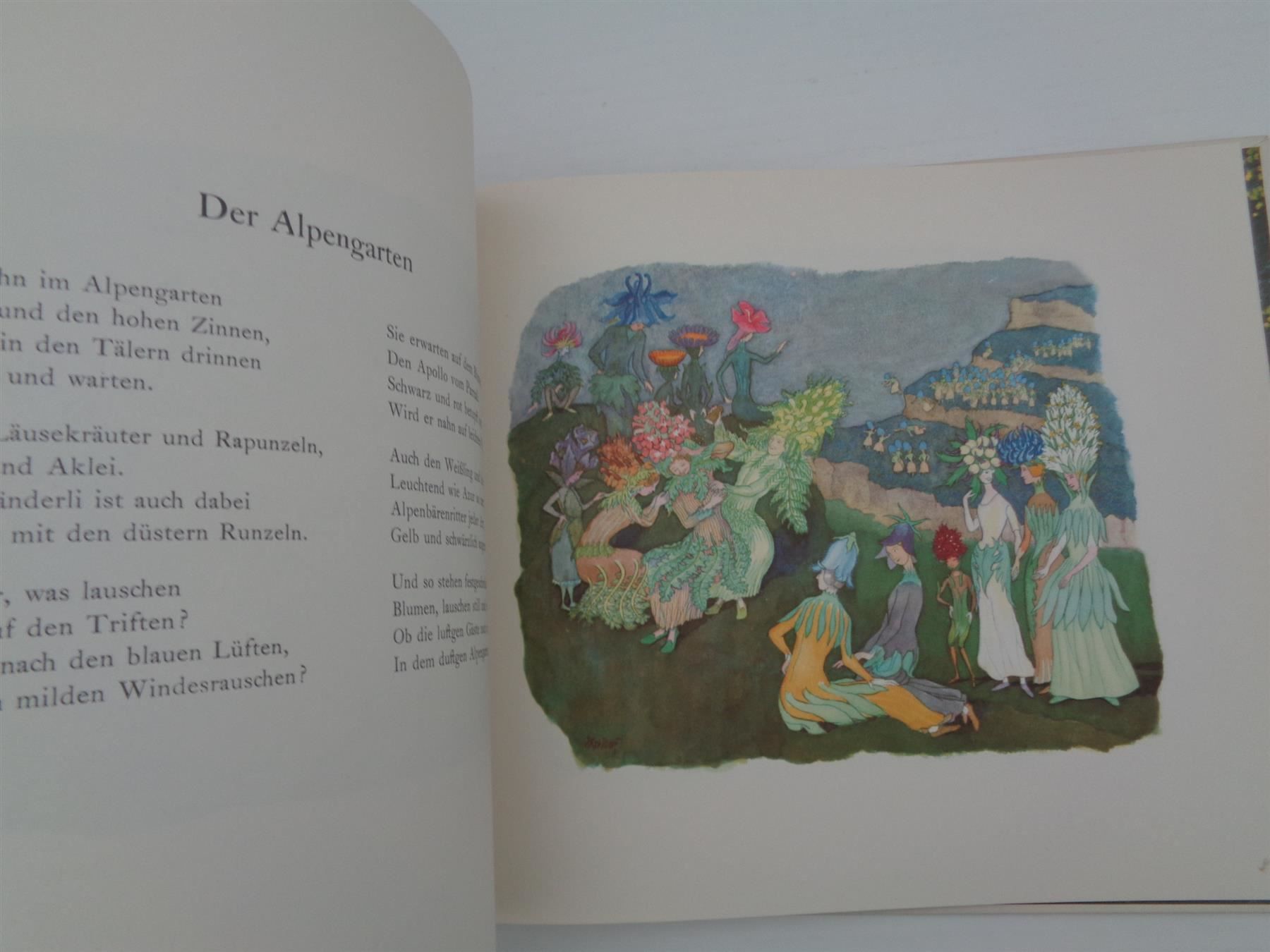 Libri: Alpenblumenmärchen von Ernst Kreidolf – Usato da Chur venduto da omonia 5