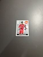 Panini Extrasticker Heungmin Son WM 2026
