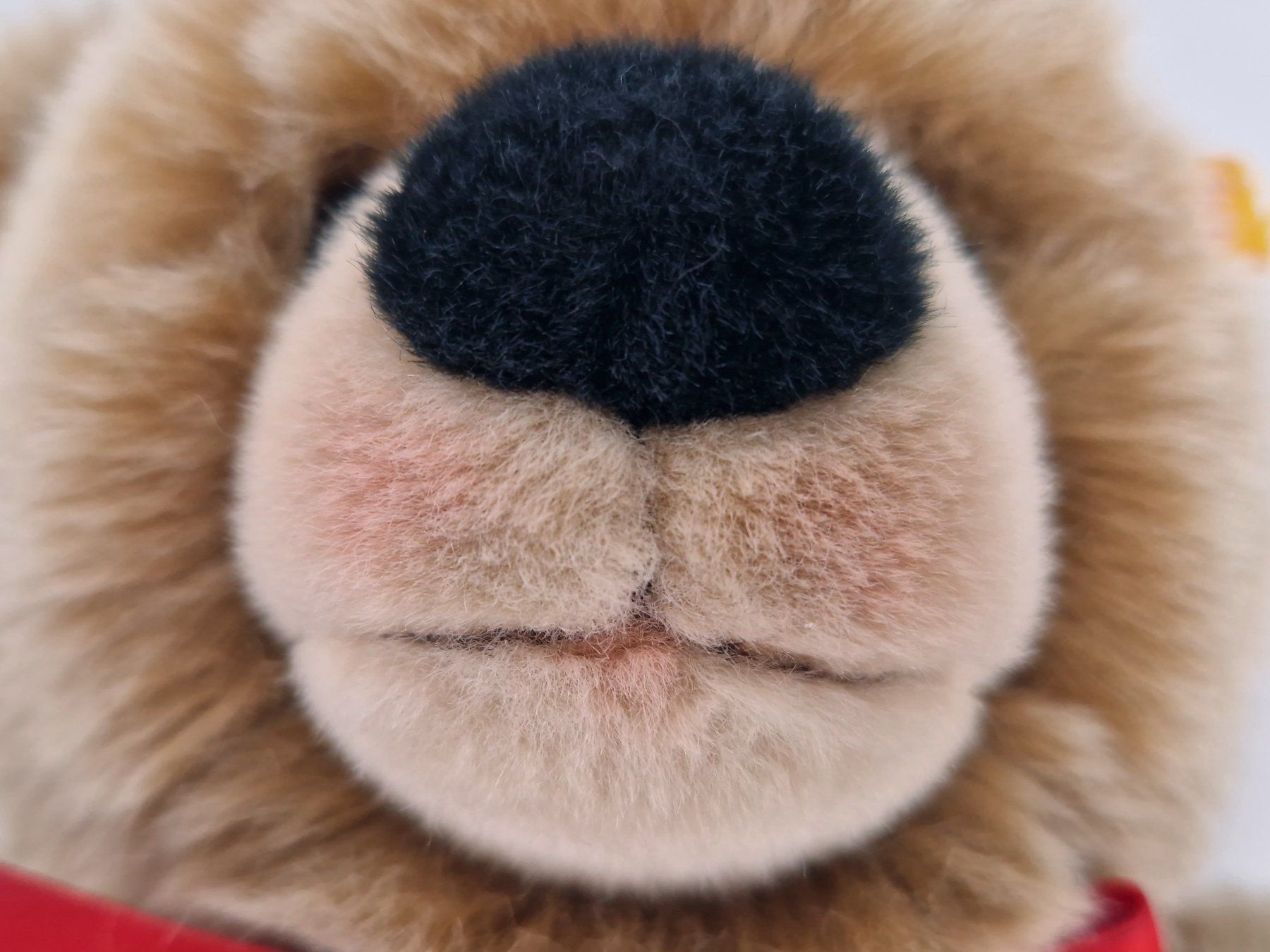 Steiff Giocattoli: Original Steiff Teddy Bär - Bobby – Usato da Basel venduto da Restwert_Basel 6