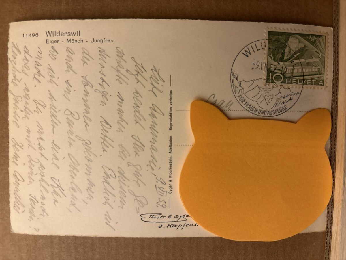 Cartoline postali: AK von Wilderswil – Usato da Rümlang venduto da Kartenpost1 1