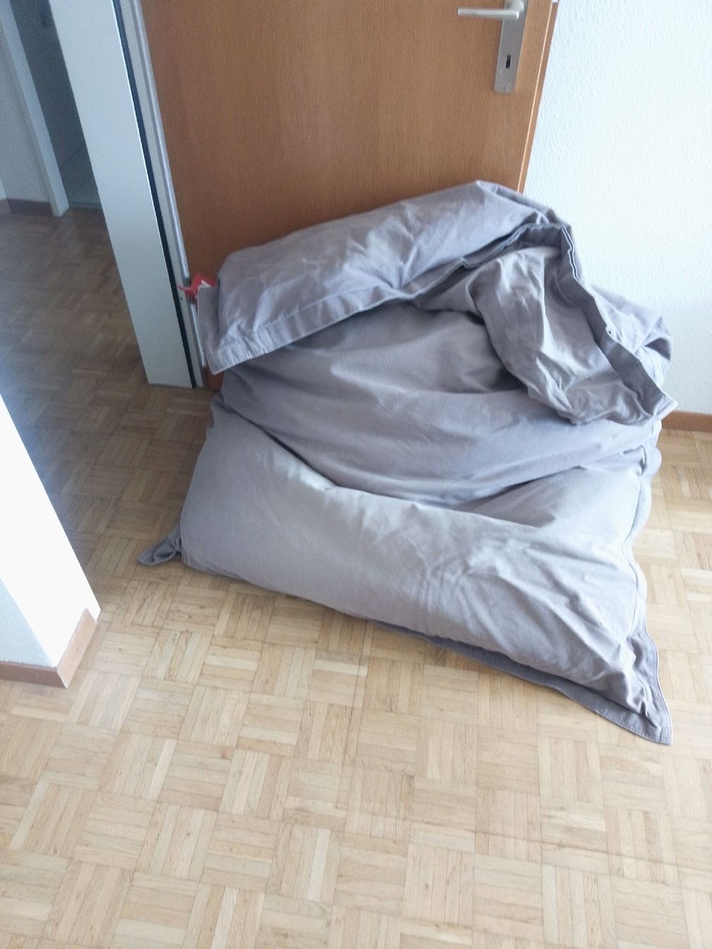 Fatboy Coussins: Fatboy Sitzsack  – D'occasion à Fischbach LU par bs94 1