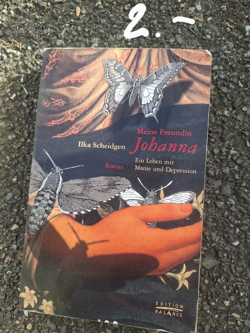 Libri: Buch: Meine Freundin Johanna – Usato da Schmiedrued venduto da lau_5zch