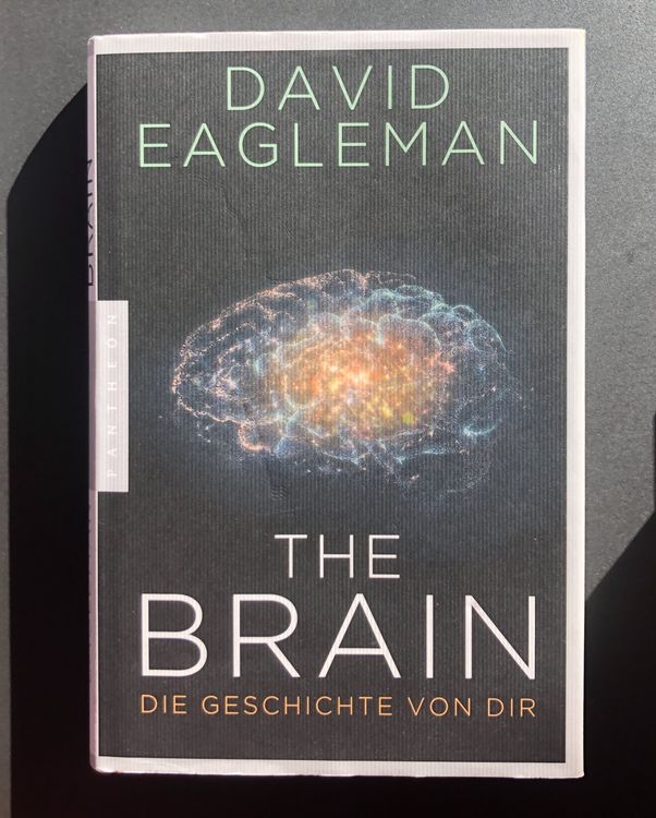 Eagleman The Brain In Deutsch Gebunden Kaufen Auf Ricardo 5593