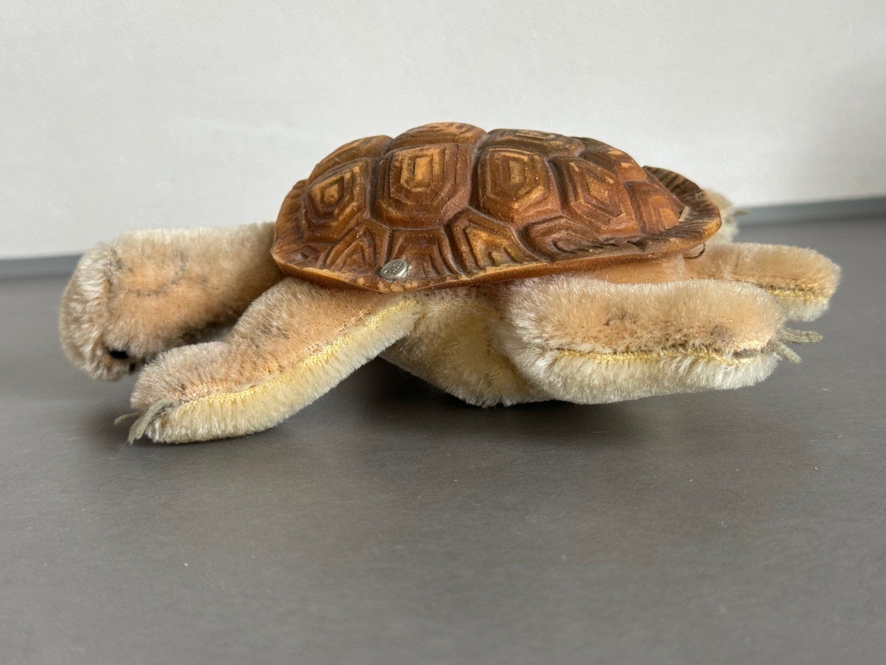 Steiff Giocattoli: STEIFF SCHILDKRÖTE - ANTIK – Usato da Honau venduto da sainj 1
