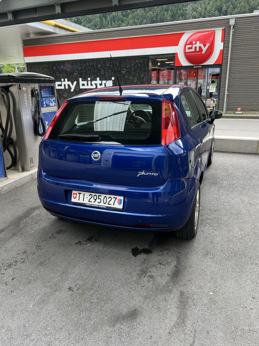 Fiat Automobili: Fiat Punto – Usato da Muralto venduto da mar_6jhm